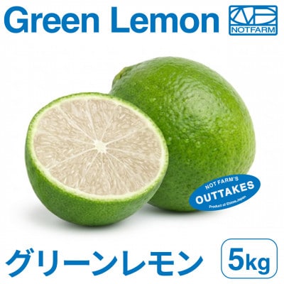 【美味しさそのまま】訳ありグリーンレモン 5kg【防腐剤・ワックス不使用】璃の香【99-33】