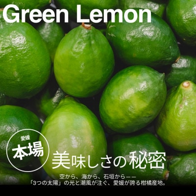 【美味しさそのまま】訳ありグリーンレモン 5kg【防腐剤・ワックス不使用】璃の香【99-33】