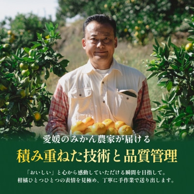 【見た目訳あり、味は本物】グリーンレモン 5kg 愛媛県産 防腐剤・ワックス不使用【99-32】