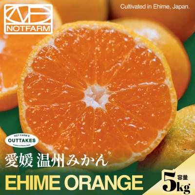 [見た目訳あり、味は本物]訳あり 愛媛みかん5kg 愛媛産 EHIME[99-31]