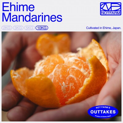 【OUTTAKES】訳あり愛媛みかん10kg 愛媛産 EHIME MANDARINES【99-30】