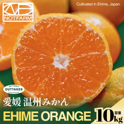 【見た目訳あり、味は本物】訳あり愛媛みかん10kg 愛媛産 EHIME【99-30】