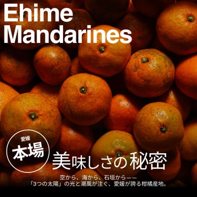 【美味しさそのまま】訳あり愛媛みかん10kg 愛媛産 EHIME【99-30】