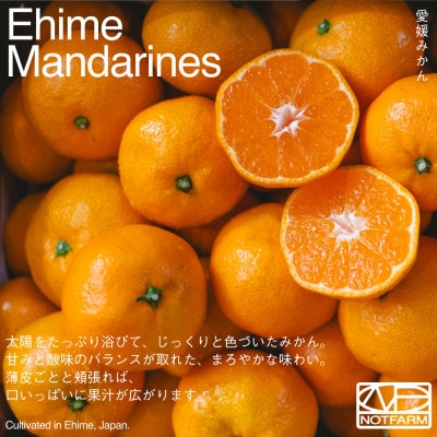 【OUTTAKES】訳あり愛媛みかん10kg 愛媛産 EHIME MANDARINES【99-30】