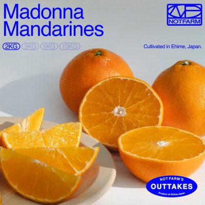 【OUTTAKES】訳ありまどんな2kg 愛媛産 Madonnna 紅まどんなと同品種【99-29】