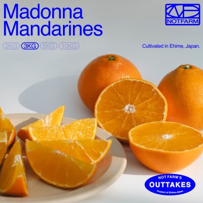 【OUTTAKES】訳ありまどんな3kg 愛媛産 Madonnna 紅まどんなと同品種【99-28】