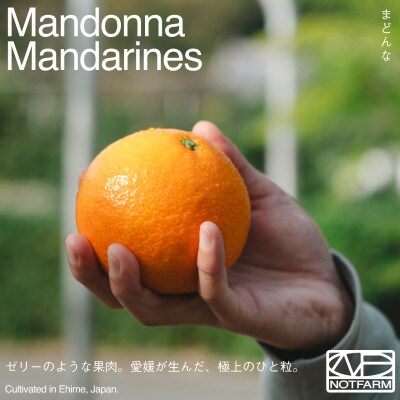 【OUTTAKES】訳ありまどんな3kg 愛媛産 Madonnna 紅まどんなと同品種【99-28】