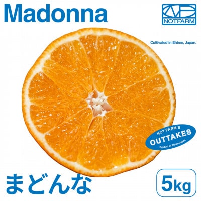 【美味しさそのまま】訳ありまどんな5kg 愛媛産 紅まどんなと同品種【99-27】