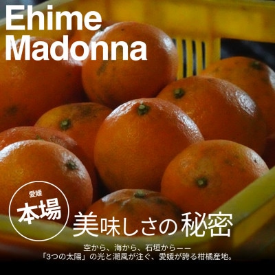 【美味しさそのまま】訳ありまどんな5kg 愛媛産 紅まどんなと同品種【99-27】