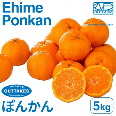 【美味しさそのまま】訳ありポンカン5kg 愛媛県産 PONKAN【99-26】