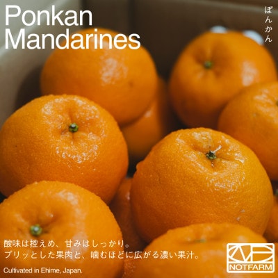 【OUTTAKES】訳あり ポンカン5kg 愛媛県産 PONKAN EHIME 【99-26】