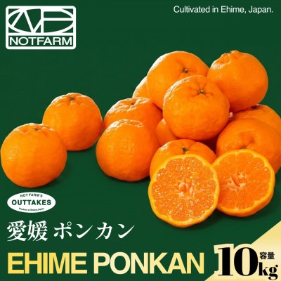 【見た目訳あり、味は本物】訳あり ポンカン10kg 愛媛県産 PONKAN【99-25】