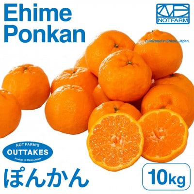 【美味しさそのまま】訳ありポンカン10kg 愛媛県産 PONKAN【99-25】