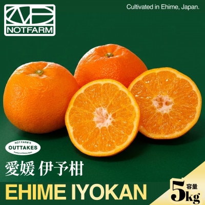 【見た目訳あり、味は本物】訳あり 伊予柑5kg 愛媛県産 EHIME IYOKAN【99-24】