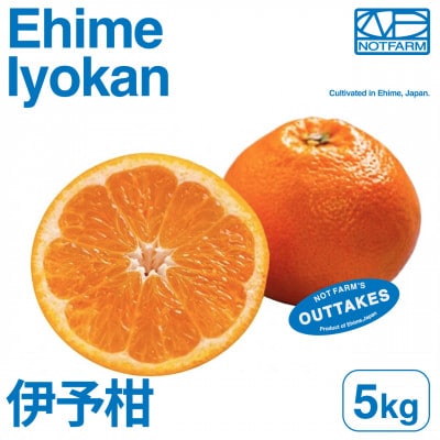 【美味しさそのまま】訳あり伊予柑5kg 愛媛県産 EHIME IYOKAN【99-24】