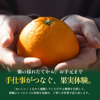 【見た目訳あり、味は本物】訳あり 伊予柑5kg 愛媛県産 EHIME IYOKAN【99-24】