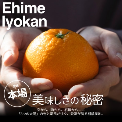 【美味しさそのまま】訳あり伊予柑5kg 愛媛県産 EHIME IYOKAN【99-24】
