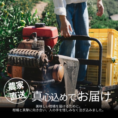 【美味しさそのまま】訳あり伊予柑5kg 愛媛県産 EHIME IYOKAN【99-24】
