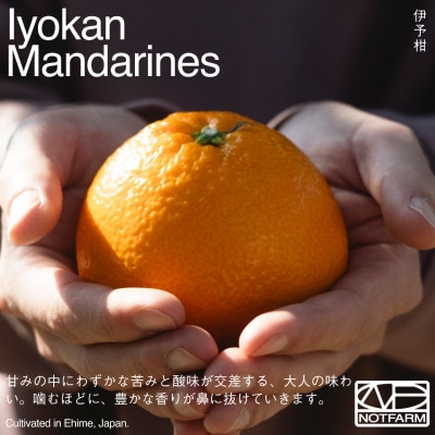 【OUTTAKES】訳あり 伊予柑5kg 愛媛県産 EHIME IYOKAN いよかん【99-24】