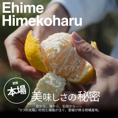 【美味しさそのまま】訳あり媛小春2kg 愛媛県産 EHIME【99-23】