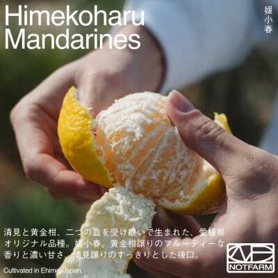 【OUTTAKES】訳あり 媛小春2kg 愛媛県産 EHIME HIMEKOHARU【99-23】