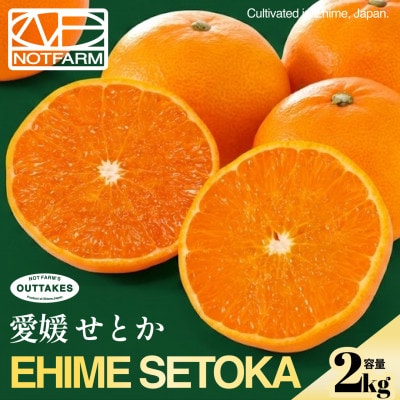【見た目訳あり、味は本物】訳あり せとか2kg 愛媛県産 EHIME SETOKA【99-20】