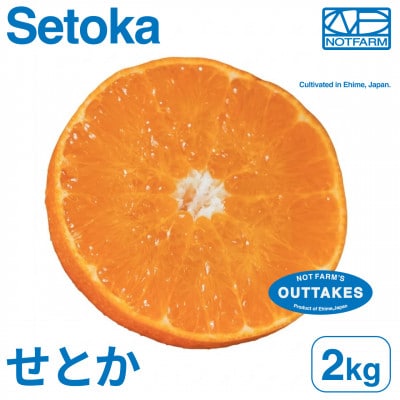 【美味しさそのまま】訳ありせとか2kg 愛媛県産 EHIME SETOKA【99-20】