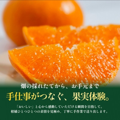 【見た目訳あり、味は本物】訳あり せとか2kg 愛媛県産 EHIME SETOKA【99-20】
