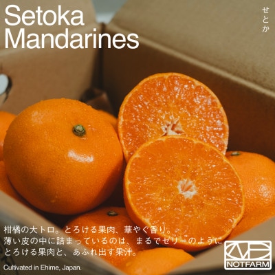 【OUTTAKES】訳あり せとか2kg 愛媛県産 EHIME SETOKA【99-20】