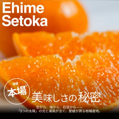 【美味しさそのまま】訳ありせとか3kg 愛媛県産 EHIME SETOKA【99-19】