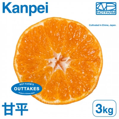 【美味しさそのまま】訳あり甘平3kg 愛媛県産 EHIME KANPEI【99-16】
