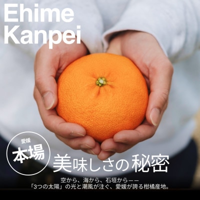 【美味しさそのまま】訳あり甘平3kg 愛媛県産 EHIME KANPEI【99-16】