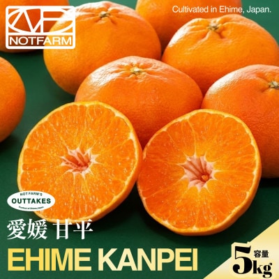 【見た目訳あり、味は本物】訳あり 甘平5kg 愛媛県産 EHIME KANPEI【99-15】