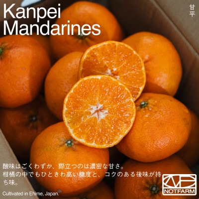 【OUTTAKES】訳あり 甘平5kg 愛媛県産 EHIME KANPEI【99-15】