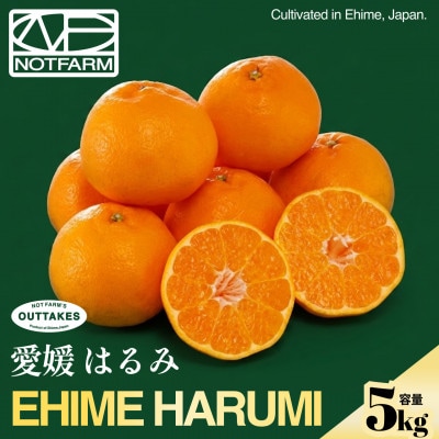 【見た目訳あり、味は本物】訳あり はるみ5kg 愛媛県産 EHIME HARUMI【99-14】