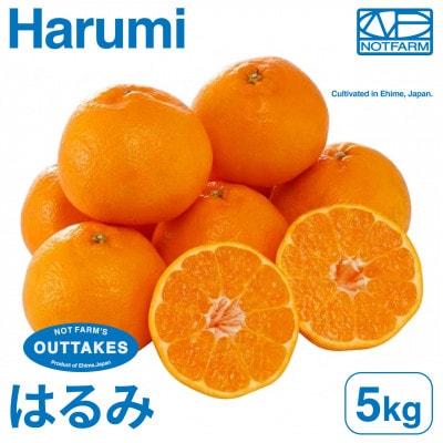 【美味しさそのまま】訳ありはるみ5kg 愛媛県産 EHIME HARUMI【99-14】