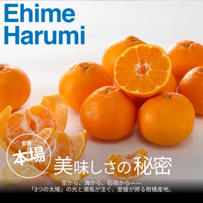 【美味しさそのまま】訳ありはるみ5kg 愛媛県産 EHIME HARUMI【99-14】