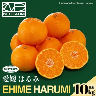 【見た目訳あり、味は本物】訳あり はるみ10kg 愛媛県産 EHIME HARUMI【99-13】