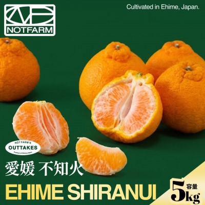 【見た目訳あり、味は本物】訳あり 不知火5kg 愛媛県産 EHIME【99-12】