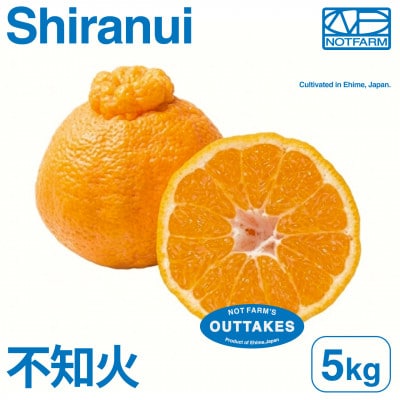 【美味しさそのまま】訳あり不知火5kg 愛媛県産 EHIME【99-12】