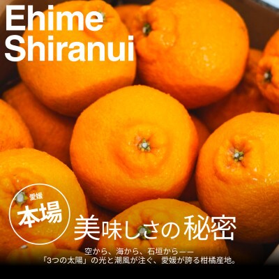 【美味しさそのまま】訳あり不知火5kg 愛媛県産 EHIME【99-12】