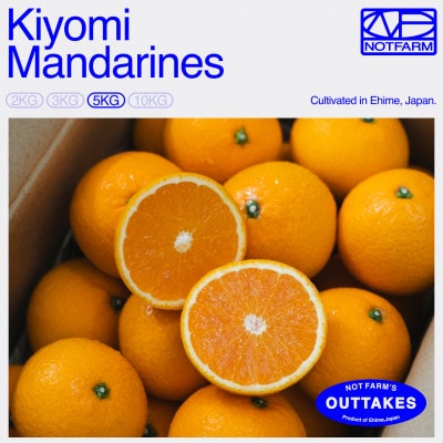 【OUTTAKES】訳あり 清見5kg 愛媛県産 EHIME KIYOMI きよみ【99-11】
