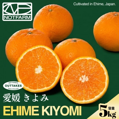 【見た目訳あり、味は本物】訳あり 清見5kg 愛媛県産 EHIME きよみ【99-11】