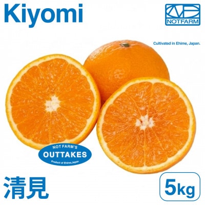 【美味しさそのまま】訳あり清見5kg 愛媛県産 EHIME きよみ【99-11】