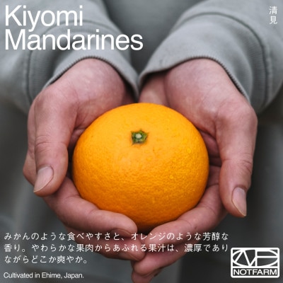 【OUTTAKES】訳あり 清見5kg 愛媛県産 EHIME KIYOMI きよみ【99-11】