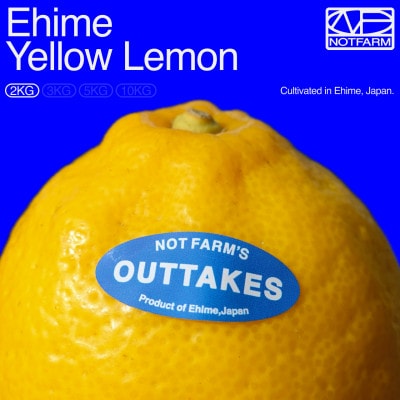【OUTTAKES】訳あり レモン2kg 愛媛県産EHIME YELLOW LEMON【99-10】