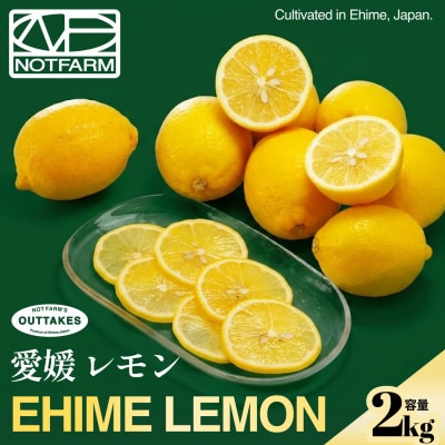 【見た目訳あり、味は本物】訳あり レモン2kg 愛媛県産 YELLOW LEMON【99-10】