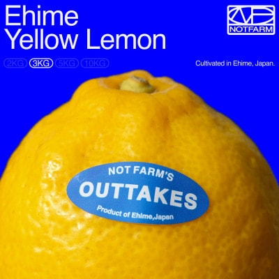 【OUTTAKES】訳あり レモン3kg 愛媛県産 EHIME YELLOW LEMON【99-9】