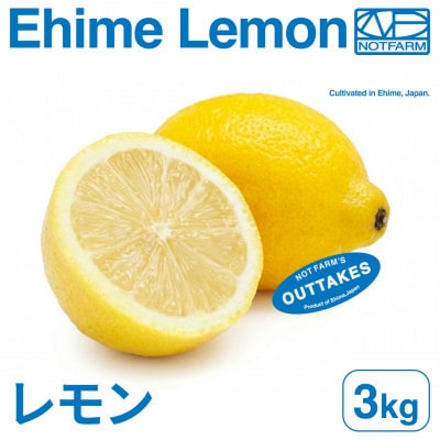 【美味しさそのまま】訳ありレモン3kg 愛媛県産 YELLOW LEMON【99-9】