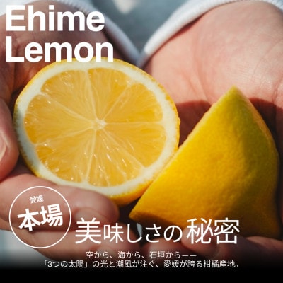 【美味しさそのまま】訳ありレモン3kg 愛媛県産 YELLOW LEMON【99-9】